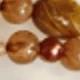 Coffee Brown
