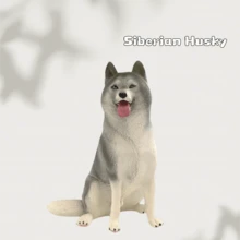 Modelo de decoración de escritorio de animal realista, Bóxer, Husky, Shiba Inu, Boston Terrier, Dálmata, Modelo de perro, Colección, Pequeño regalo para amigos - Multicolor - Ver 12