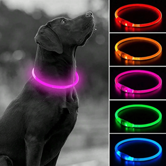 1x oplaadbare LED-halsband voor huisdieren met 3 lichtstanden, zichtbaar in het donker, geschikt voor kleine tot grote honden en katten, festivalsfeerhalsband