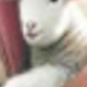 多色