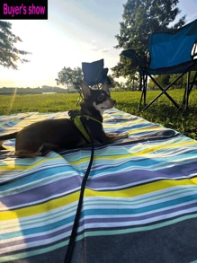 1pc Extra Thick Large Picnic Mat | Beach Blanket, Made Of 600D Oxford Cloth, Scratch-Resistant/Durable, Multipurpose/Waterproof/Dust-Proof/Camping Mat/Indoor & Outdoor Rug For Spring/Summer, Camping, Beach, Lawn, River, Office, Weddings, Easter, Graduation, Parties. Fashionable Design, Easy To Fold And Carry. (Two Different Covers, Different Pastes, Random Delivery! Ps: The Effect Of Opening Is The Same)