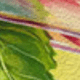 Multicolor