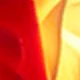 Blanco Rojo