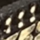 Negro