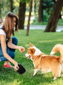 1pc Dog Treat Pouch Bag, Multi-Function Pet Outdoor Training Treat Bag,Dog Outing Dog Stuff,Dog Training Treat Pouch Dog Training Bag For Travel Outdoor Training