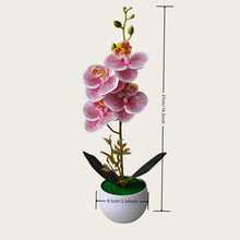 1 盆仿真蝴蝶兰盆栽，逼真的仿真兰花盆栽，适合居家、酒店、办公桌摆设，配塑料花盆 - 1盆人造蘭花盆栽 - 查看 10