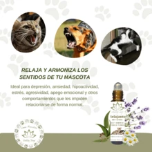Roll On Relajante Calmante Antiestrés Para Mascotas Perros y Gatos Relax Roll On Mascotas Antiestrés Calmante Aceite Esencial Aroma Natural Perros Gatos Bienestar Equilibrio Animal Pet Care