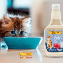 Brincat Cat Food Sauce 250g Soft And Tasty - 白色 - 查看 2