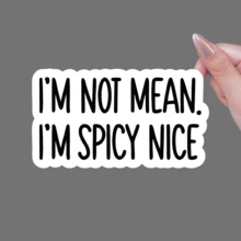 I'm Not Mean, I'm Spicy Nice Vinyl Sticker – Funny Quote Decal For Water Bottles, Laptops, Tumblers & More – Self-Adhesive, Reusable Design On Plastic, Wood, Glass, Metal & Surfaces - Multicolor - View 11