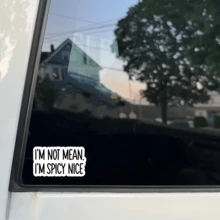 I'm Not Mean, I'm Spicy Nice Vinyl Sticker – Funny Quote Decal For Water Bottles, Laptops, Tumblers & More – Self-Adhesive, Reusable Design On Plastic, Wood, Glass, Metal & Surfaces - Multicolor - View 8