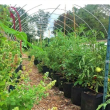 1个户外花园蔬菜水果种植袋，毛毡种植袋，无纺布毛毡种植盆，无纺布袋，黑色育苗种植袋（多种尺寸） - 彩色 - 查看 5