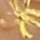Vàng