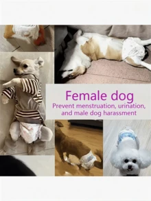 Pet Diapers, Hygienic Dog Pads, Period Dog Panties, Leak-Proof Dog Diapers, Super Absorbent, Disposable (Similar To Diapers/Pads/Sanitary Pads/Underwear), Random Patterns, Essential Cleaning Products For Male And Female Dogs After Excretion - Multicolor - View 6