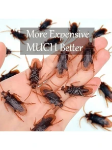 2025 新款 - 超逼真假蟑螂，假蟑螂是一个很好的恶作剧，极其逼真和令人毛骨悚然的蟑螂模拟，适合万圣节/愚人节道具和恶作剧 - 彩色 - 查看 2