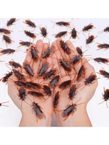 2025 新款 - 超逼真假蟑螂，假蟑螂是一个很好的恶作剧，极其逼真和令人毛骨悚然的蟑螂模拟，适合万圣节/愚人节道具和恶作剧 - 彩色 - 查看 1