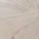 彩色