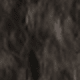 بني داكن