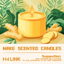 HWLINK 10 ml ingefära eterisk olja - 100 % ren naturlig | Varm och kryddig arom, lämplig för diffusor | Gör-det-själv-ljustillverkningsmaterial | Aromaterapipresent | Luftfräschare för bilen | Present - Ingefära - Visa 5