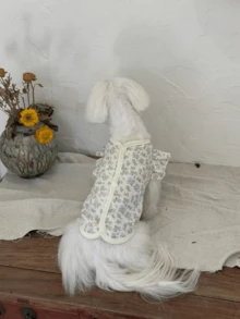 春夏宠物服装棉质薄款单层网眼盖袖猫咪和小型犬服装，休闲服饰