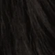 Black-brown