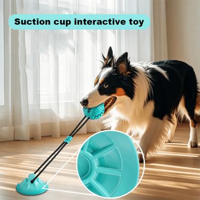 A Pet Education Training Toy, A Dog Leash For Gnawing, A Strong Suction Cup, A Pet Gnawing Chew Toy, Suction Cup Training Toy For Pets.Boredom Suitable For Small And Medium Breeds(It Is Suggested To Use On Smooth Tiles, Not Recommended To Use On Wooden Floors.)