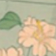 彩色