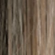 Brown Ombre