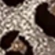 pequeño estampado de leopardo