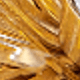 Dorado