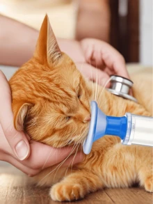 便携式宠物气雾吸入器，适用于猫狗——温和的手持式呼吸护理设备，透明设计，蓝色花形吸嘴，呼吸舒适