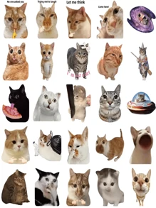25/50 pezzi Simpatici adesivi divertenti a tema gatto, adatti per decorare taccuini, custodie per telefono, diari, borracce