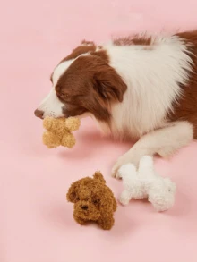 耐用的泰迪狗咀嚼玩具，适合小型犬 - 缓解出牙疼痛和无聊，有趣的互动咀嚼小狗玩具