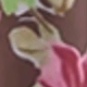 棕色