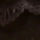 الأسود