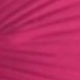 Rosa Fucsia