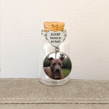 1PC Personalized Pet Memorial Glass Jar With Photo&Fur&Engraved Words,Heart Shape Pet Memorial Fur Bottle Keepsake For Women And Men With Gifts Box