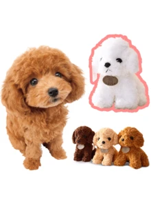 耐用的泰迪狗咀嚼玩具，适合小型犬 - 缓解出牙疼痛和无聊，有趣的互动咀嚼小狗玩具