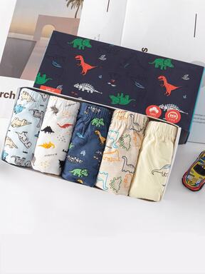2025新款礼盒！5条装有机棉男童内裤 - 无痕三角裤，适合5-12岁儿童 | 低过敏性无标签设计（生日和开学季的完美之选）