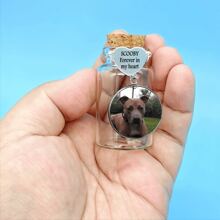 1PC Personalized Pet Memorial Glass Jar With Photo&Fur&Engraved Words,Heart Shape Pet Memorial Fur Bottle Keepsake For Women And Men With Gifts Box