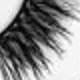 Fox Eye Lashes