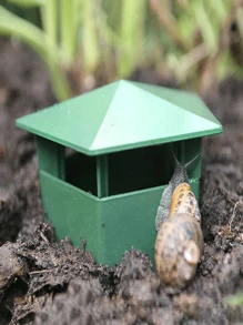 1pc Solid Color Snail Trap, Simple Green Pest Control Snail Box For Garden
