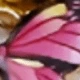 彩色