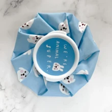 1 pièce de pack de glace réutilisable, pack chaud/froid à motifs mignons, soulage la douleur des dents de sagesse et les yeux fatigués, portable et compact