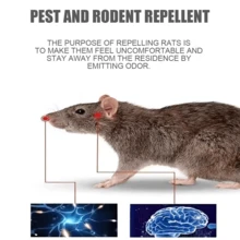 NetHong 10/20Pcs Mouse Mice Rodent Repellent Peppermint Balls To Repel Rats Deterrent UK - Green - View 4