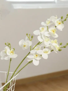 1/2支逼真白色蝴蝶兰，每支花茎有9朵硕大、鲜艳、逼真的蝴蝶兰花。适用于DIY花束、插花、家居装饰、派对装饰、婚礼装饰。情人节礼物。 - 彩色 - 查看 5