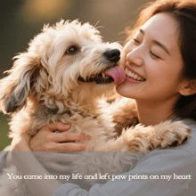 1pc Pet Memorial Necklace, Gold/Silver/Rose Gold Heart-Shaped, Ocean Heart Necklace Containing Pink Glass Ball To Hold Pet's Hair, Ashes, Nail Clippings, Memorial Gift For Cats, Dogs, Small Animals