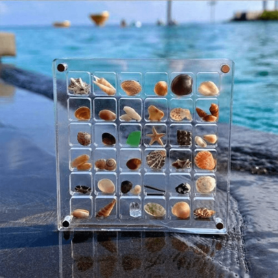 1 个 36 格亚克力透明贝壳储物盒，微型石头海滨标本展示收集昆虫收集盒