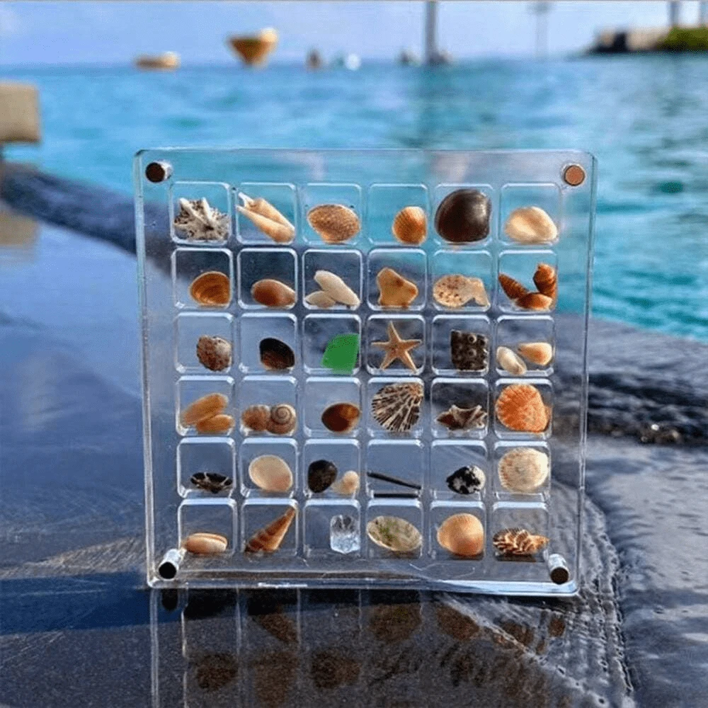 1 个 36 格亚克力透明贝壳储物盒，微型石头海滨标本展示收集昆虫收集盒 - 36格收納盒[僅盒子] - 查看 1