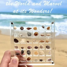 1 个 36 格亚克力透明贝壳储物盒，微型石头海滨标本展示收集昆虫收集盒 - 36格收納盒[僅盒子] - 查看 10