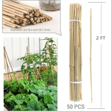 50pcs 2FT Bamboo Plant Stakes For Indoor Outdoor Plants, 0.32in-0.4in Bamboo Sticks Garden Support Stakes Bamboo Poles Trellis For Tomato Vegetables Beans Trees Potted Climbing Plants